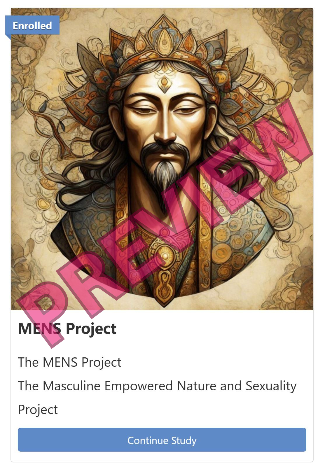 mens project PREVIEW